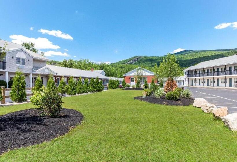 호텔 Quality Inn & Suites