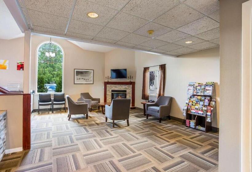 호텔 Quality Inn & Suites