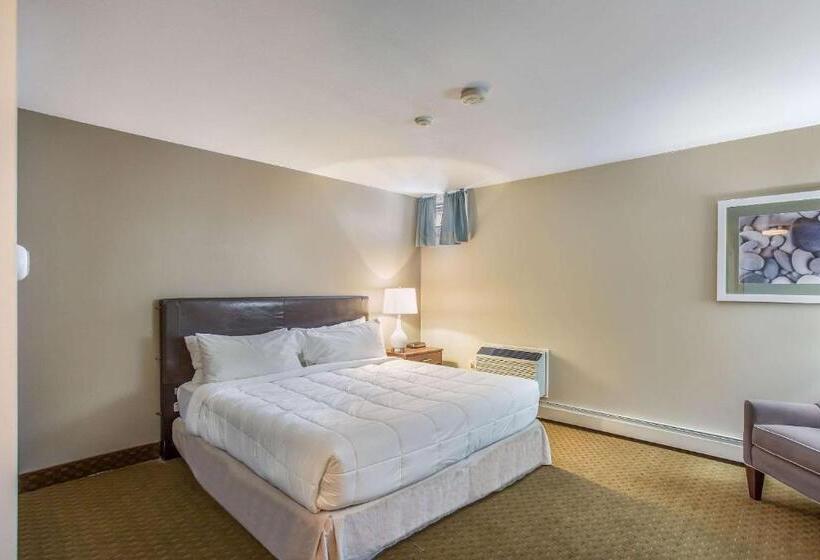 호텔 Quality Inn & Suites