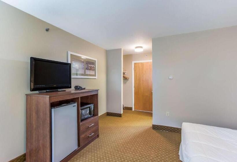 호텔 Quality Inn & Suites