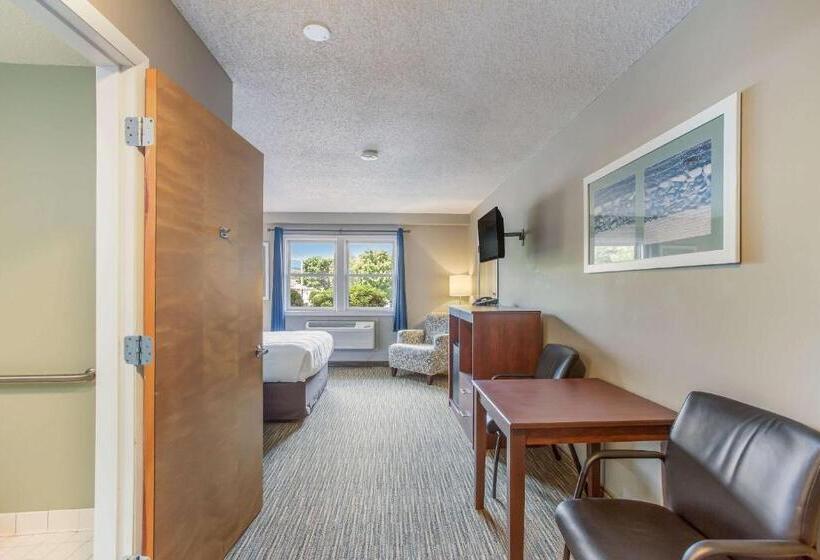 호텔 Quality Inn & Suites