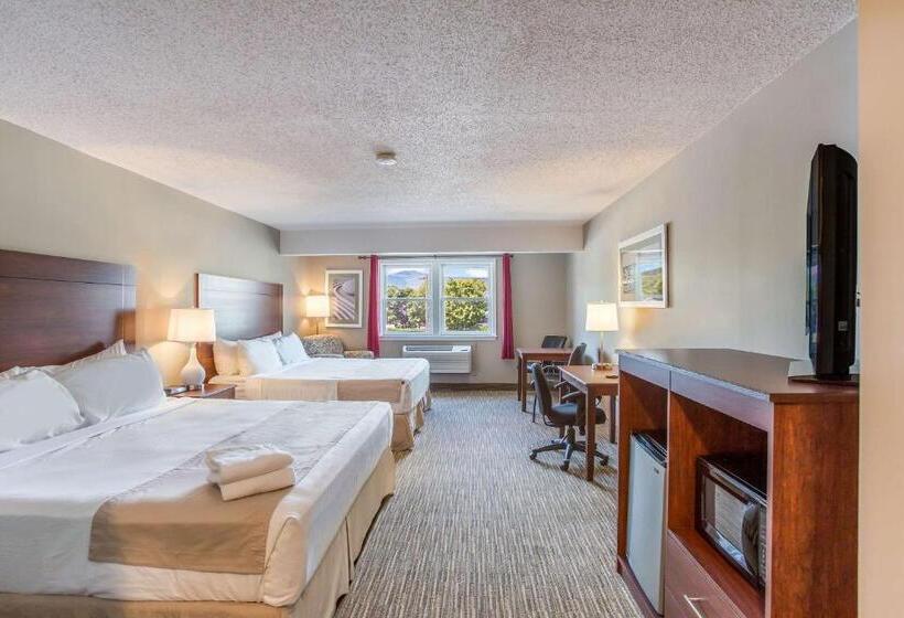 호텔 Quality Inn & Suites