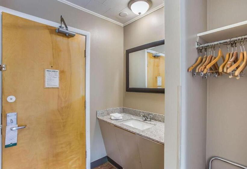 호텔 Quality Inn & Suites