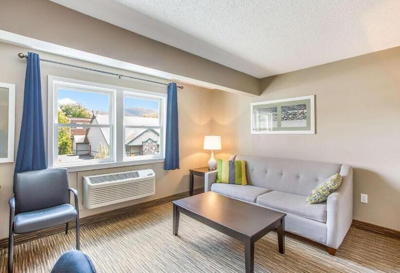 호텔 Quality Inn & Suites