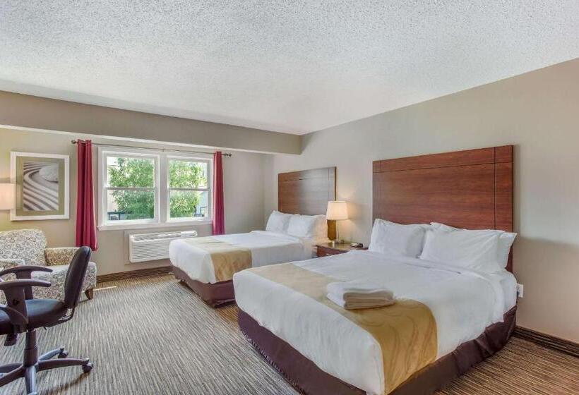 호텔 Quality Inn & Suites