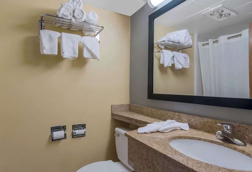 酒店 Quality Inn Westfield  Springfield