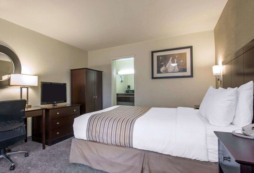 ホテル Rodeway Inn Convention Center