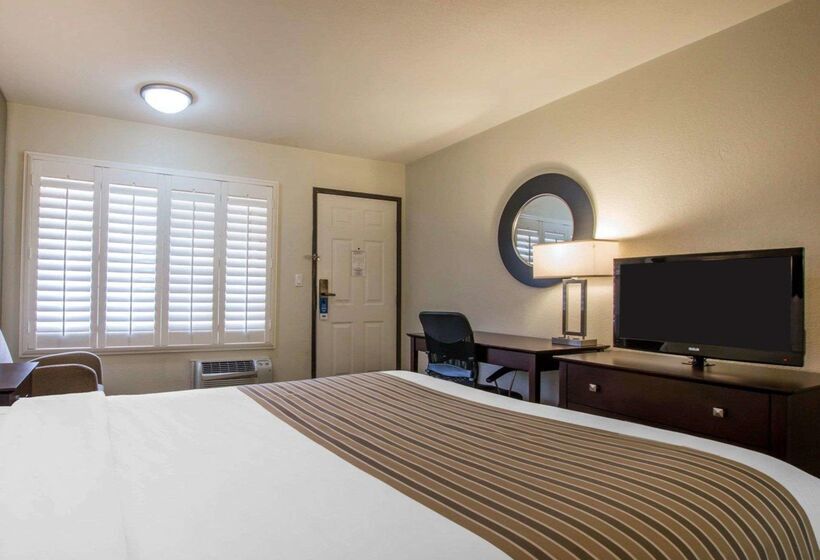 ホテル Rodeway Inn Convention Center