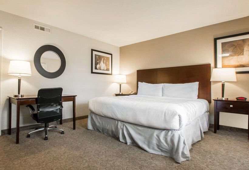 ホテル Rodeway Inn Convention Center