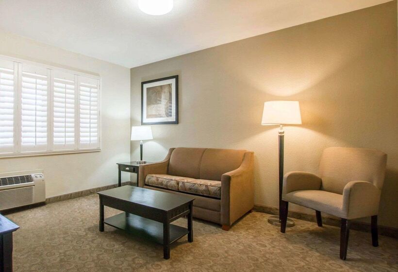 ホテル Rodeway Inn Convention Center