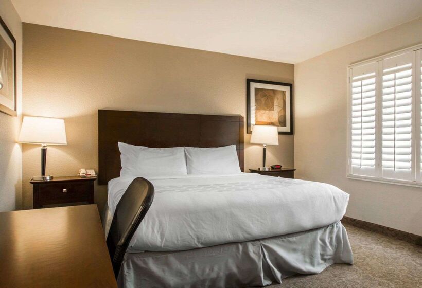 ホテル Rodeway Inn Convention Center