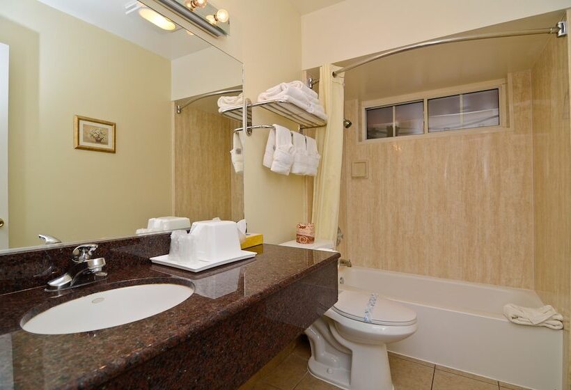 ホテル Rodeway Inn Convention Center