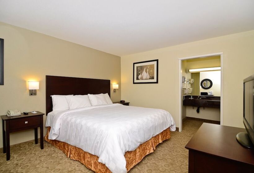 ホテル Rodeway Inn Convention Center