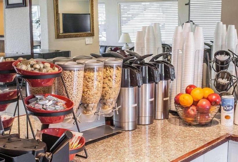 ホテル Rodeway Inn & Suites