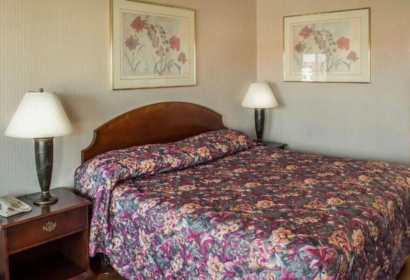 ホテル Rodeway Inn & Suites