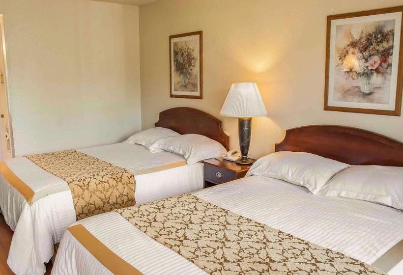 ホテル Rodeway Inn & Suites