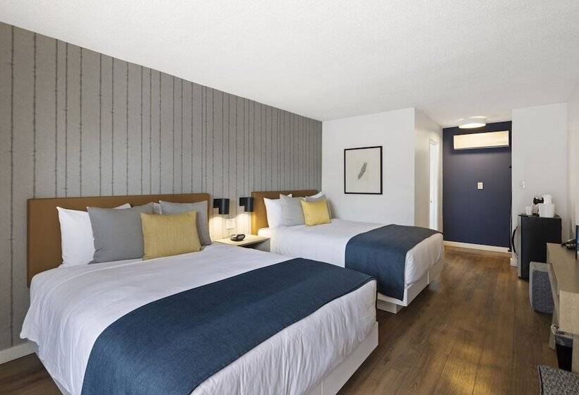 Sea Harbor Hotel   San Diego