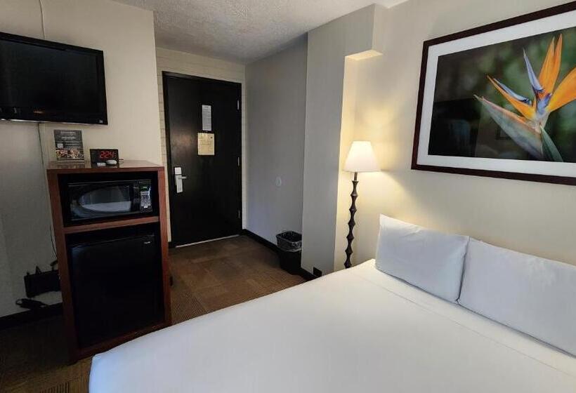 Stay Hotel Waikiki