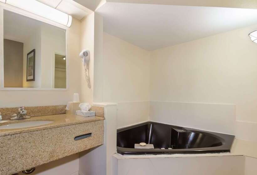 酒店 Suburban Studios Florence I 95