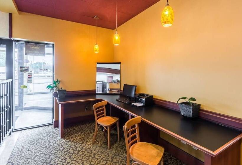 فندق Suburban Studios Florence I 95