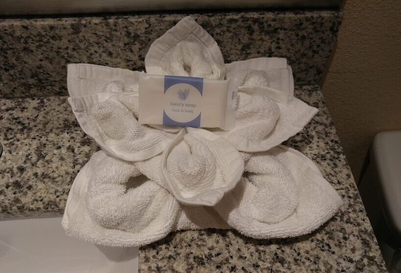 فندق Surf City Inn & Suites