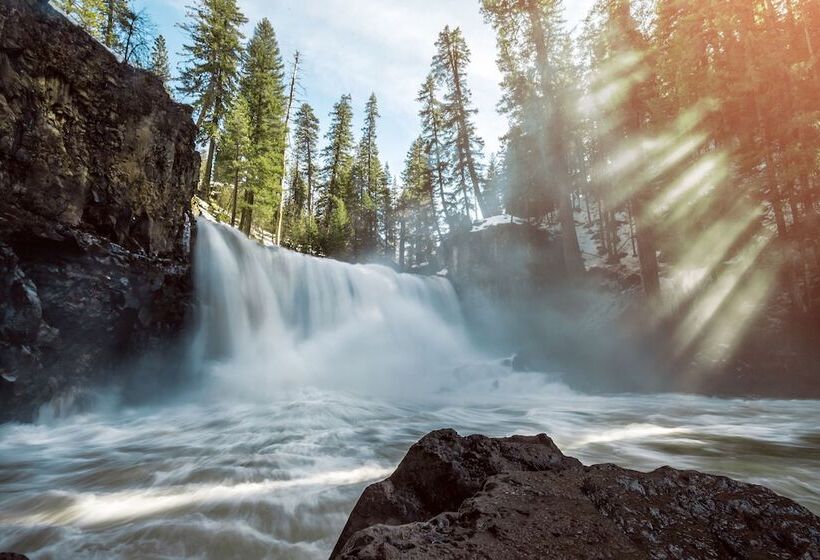 ホテル The Angler Lodge