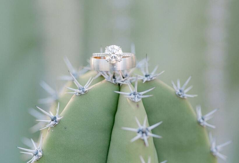 ホテル The Phoenician, A Luxury Collection Resort, Scottsdale