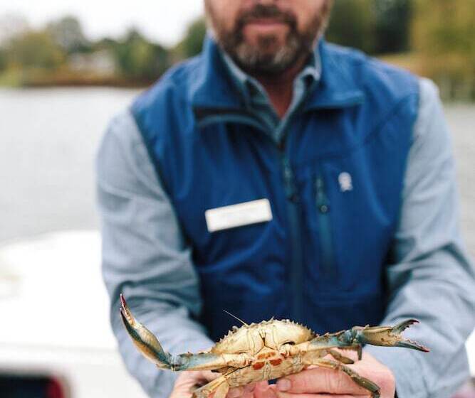 酒店 The Tides Inn