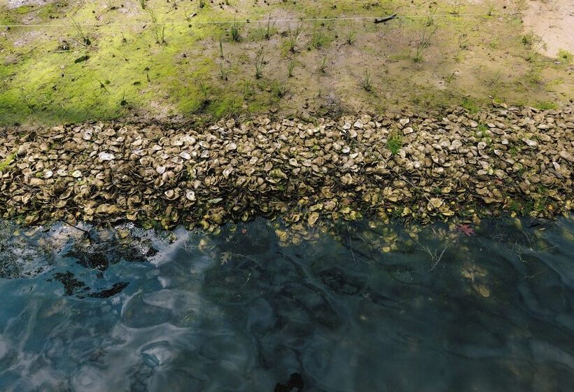 ホテル The Tides Inn