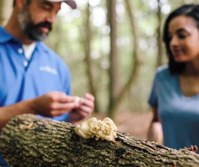 ホテル The Tides Inn