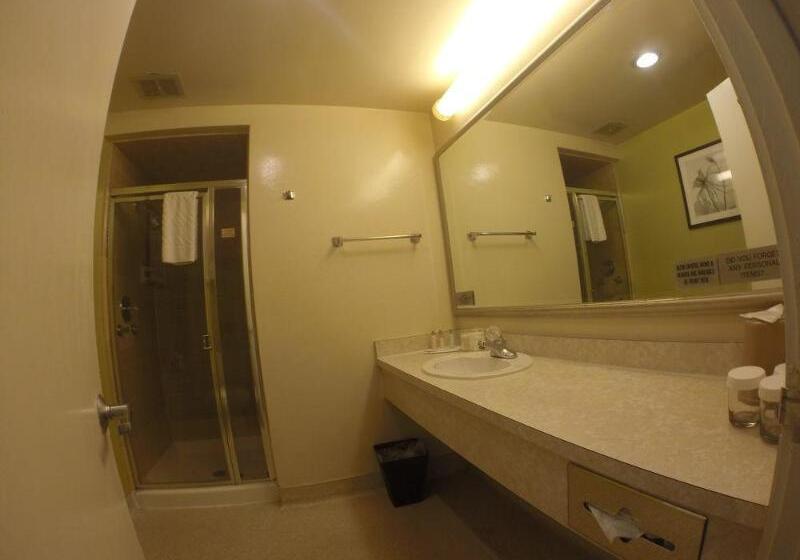 בית מלון כפרי The Wharf Inn