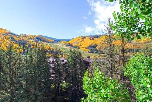 Отель The Wren at Vail