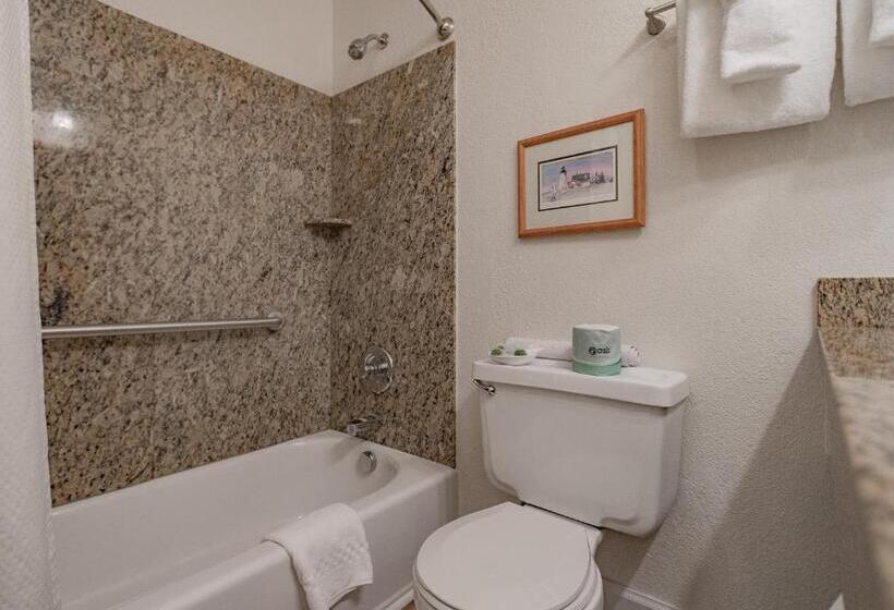 Отель Tolovana Inn