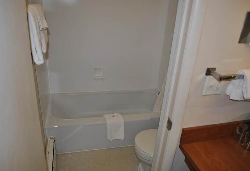 Travelers Lodge Motel Marshall