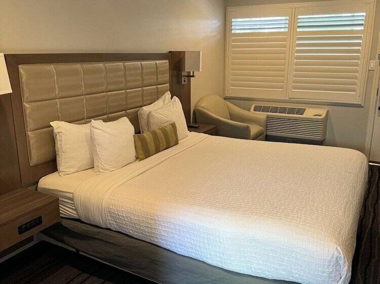 فندق Sather Berkeley   Surestay Collection By Best Western