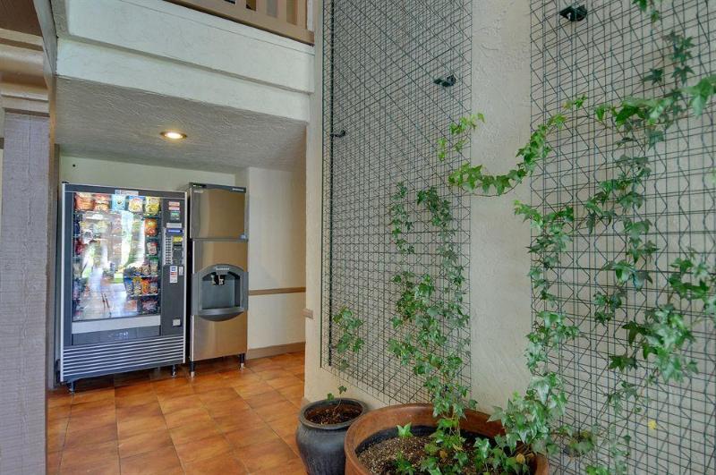 Отель Vagabond Inn Executive San Francisco Airport