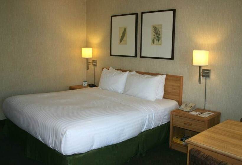 Hotel Vagabond Inn Los Angeles At Usc