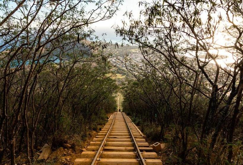 Wayfinder Waikiki   Voted Top 10 Best Hotels In Hawaii!