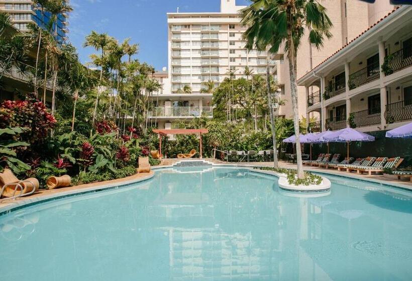 Wayfinder Waikiki   Voted Top 10 Best Hotels In Hawaii!