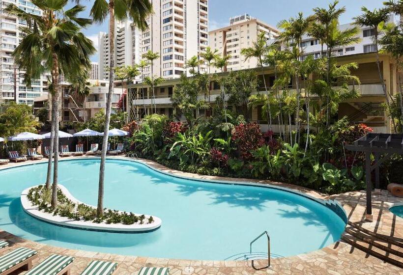 Wayfinder Waikiki   Voted Top 10 Best Hotels In Hawaii!