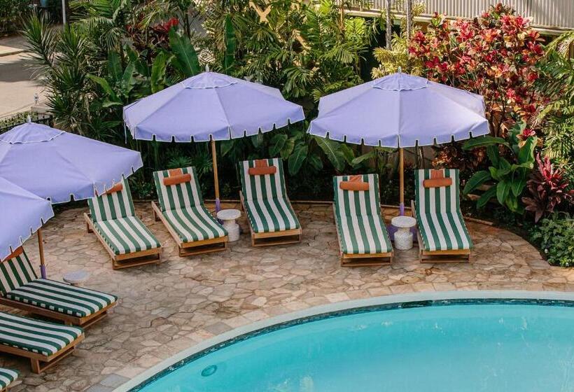 Wayfinder Waikiki   Voted Top 10 Best Hotels In Hawaii!