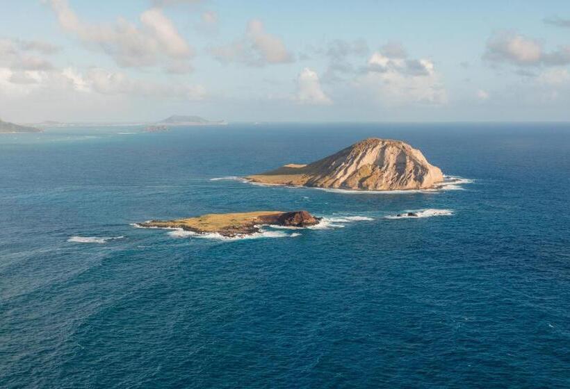 Wayfinder Waikiki   Voted Top 10 Best Hotels In Hawaii!