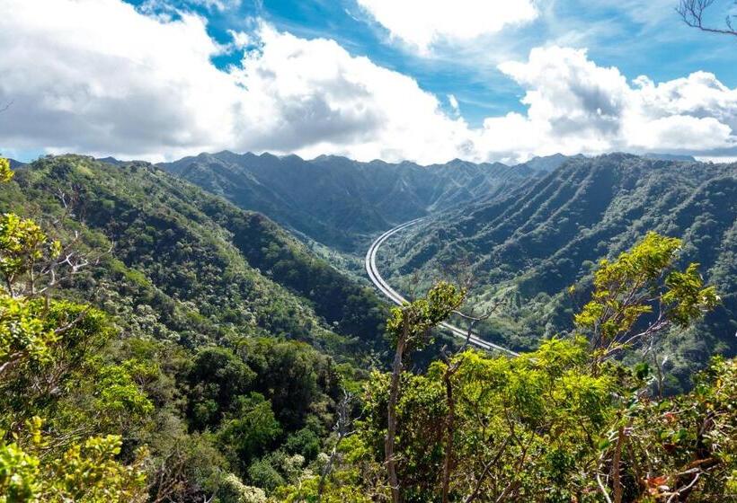Wayfinder Waikiki   Voted Top 10 Best Hotels In Hawaii!