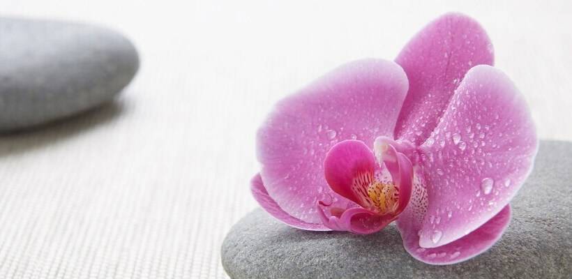 فندق Westchester Marriott