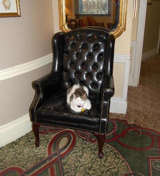 Отель Windsor Inn