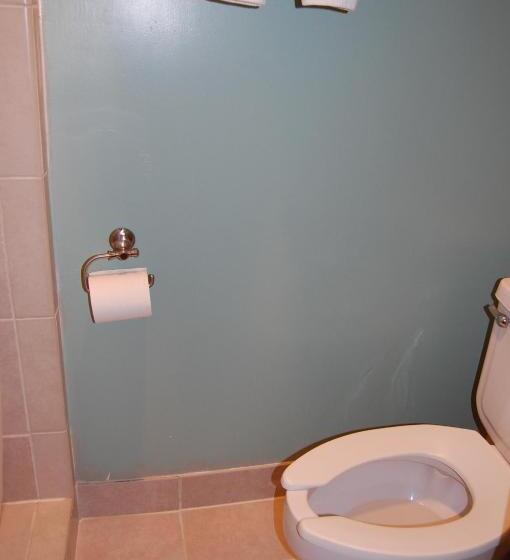 Отель Windsor Inn