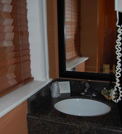 Отель Windsor Inn