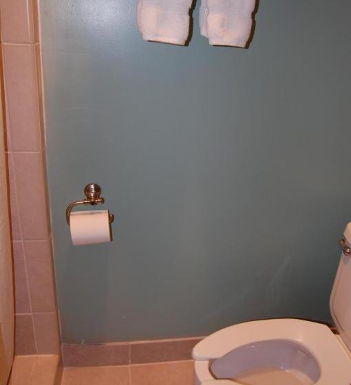 Отель Windsor Inn