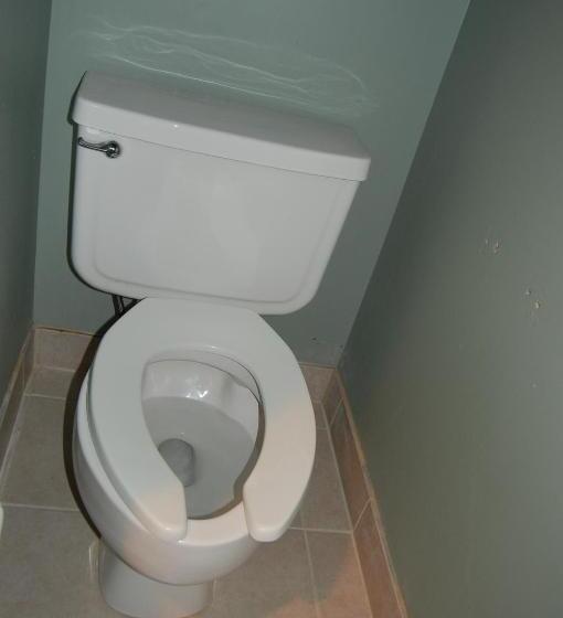 Отель Windsor Inn