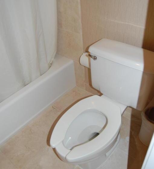 Отель Windsor Inn